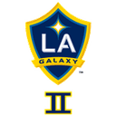 home logo
