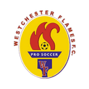 home logo