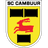 home logo