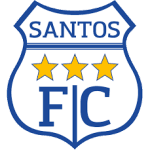 home logo
