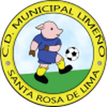 home logo