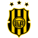 home logo