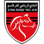 home logo