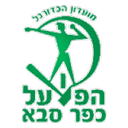home logo