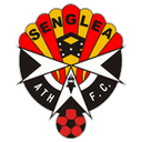home logo