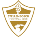 home logo