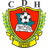 home logo