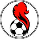 home logo
