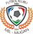 home logo