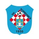 home logo