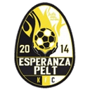 home logo