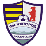 home logo