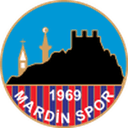 home logo
