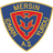 home logo