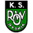 home logo