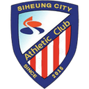 home logo