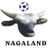 home logo