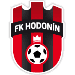 home logo