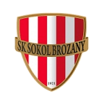 home logo