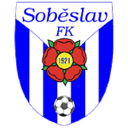 home logo