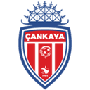 home logo
