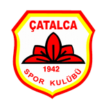 home logo