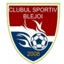 home logo