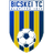 home logo