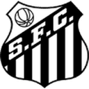 home logo