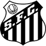 home logo