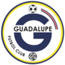 home logo