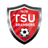 home logo