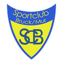 home logo