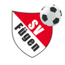 home logo