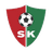 home logo