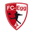 home logo