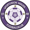 home logo