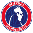 home logo