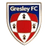 home logo