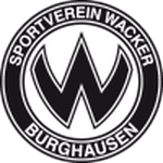 home logo