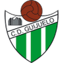 home logo