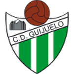 home logo
