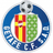 home logo
