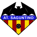 home logo